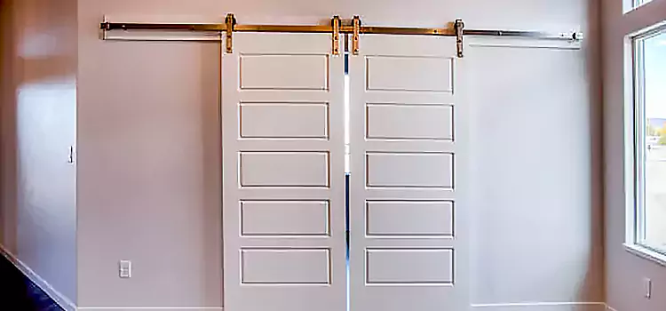 Glass Barn Door with Installation Hardware Kit Richland