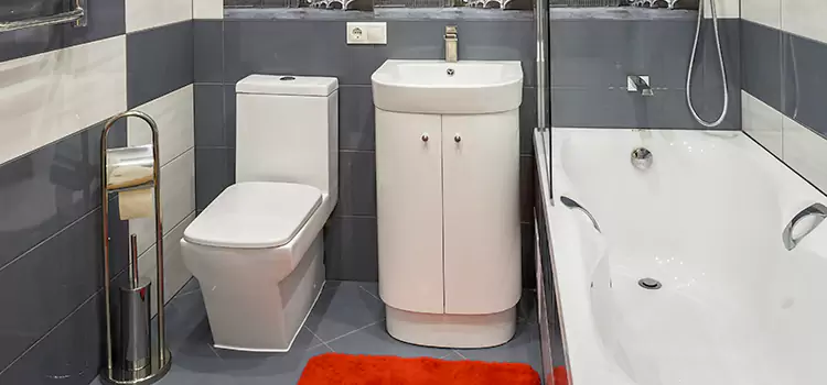 Hansgrohe Shaving Mirror Richland